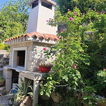 Mala Cele Apartment Podgora Ruang foto