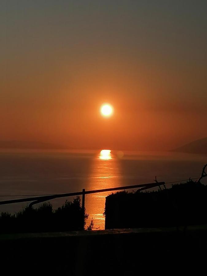 Mala Cele Apartment Podgora Bagian luar foto