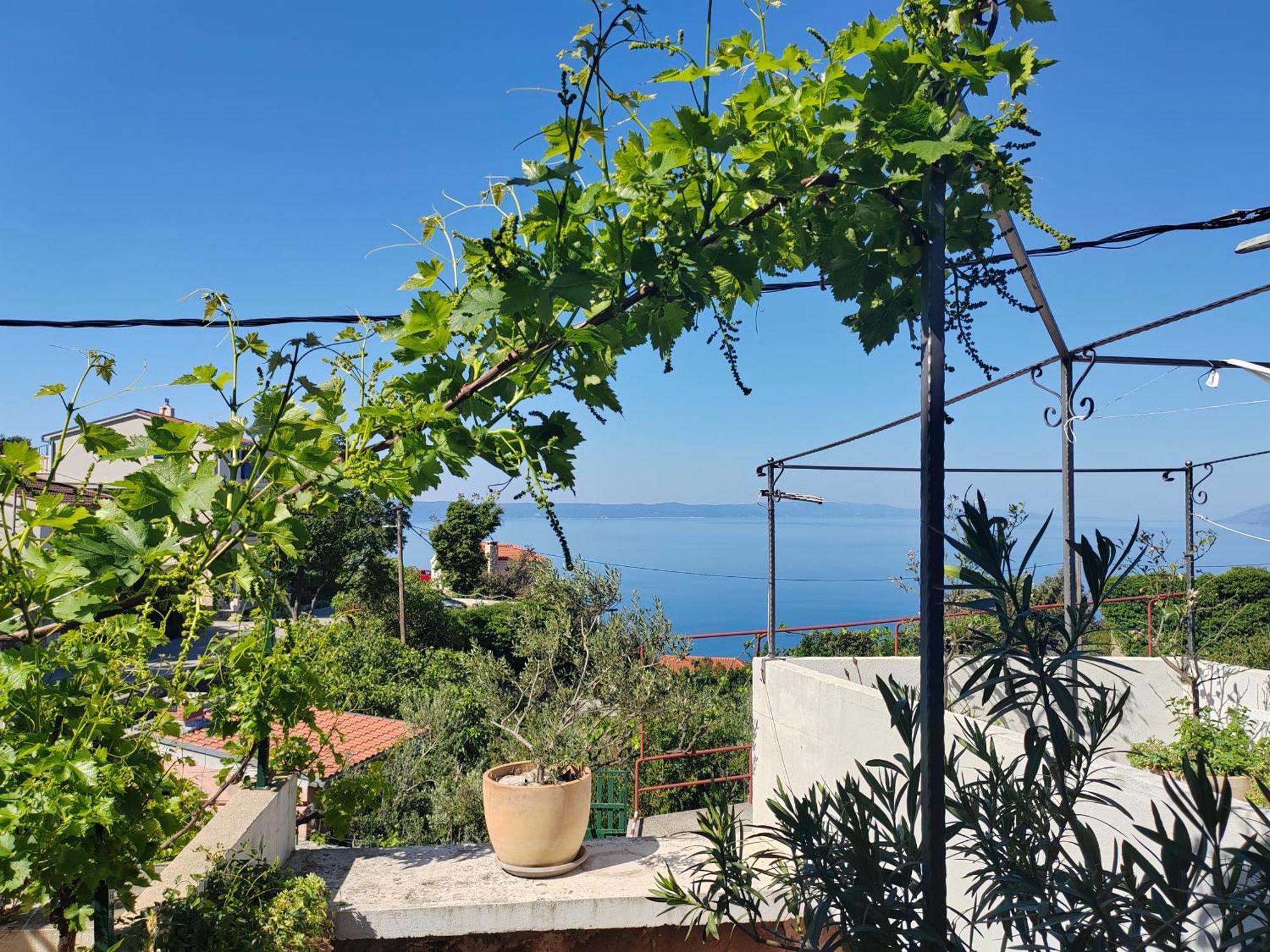 Mala Cele Apartment Podgora Ruang foto