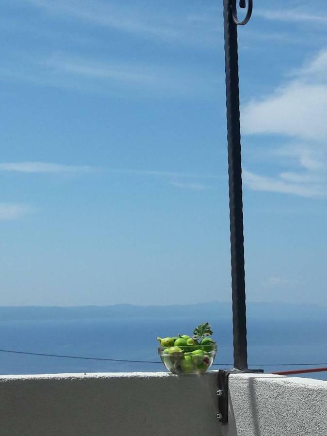 Mala Cele Apartment Podgora Bagian luar foto
